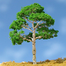 model trees